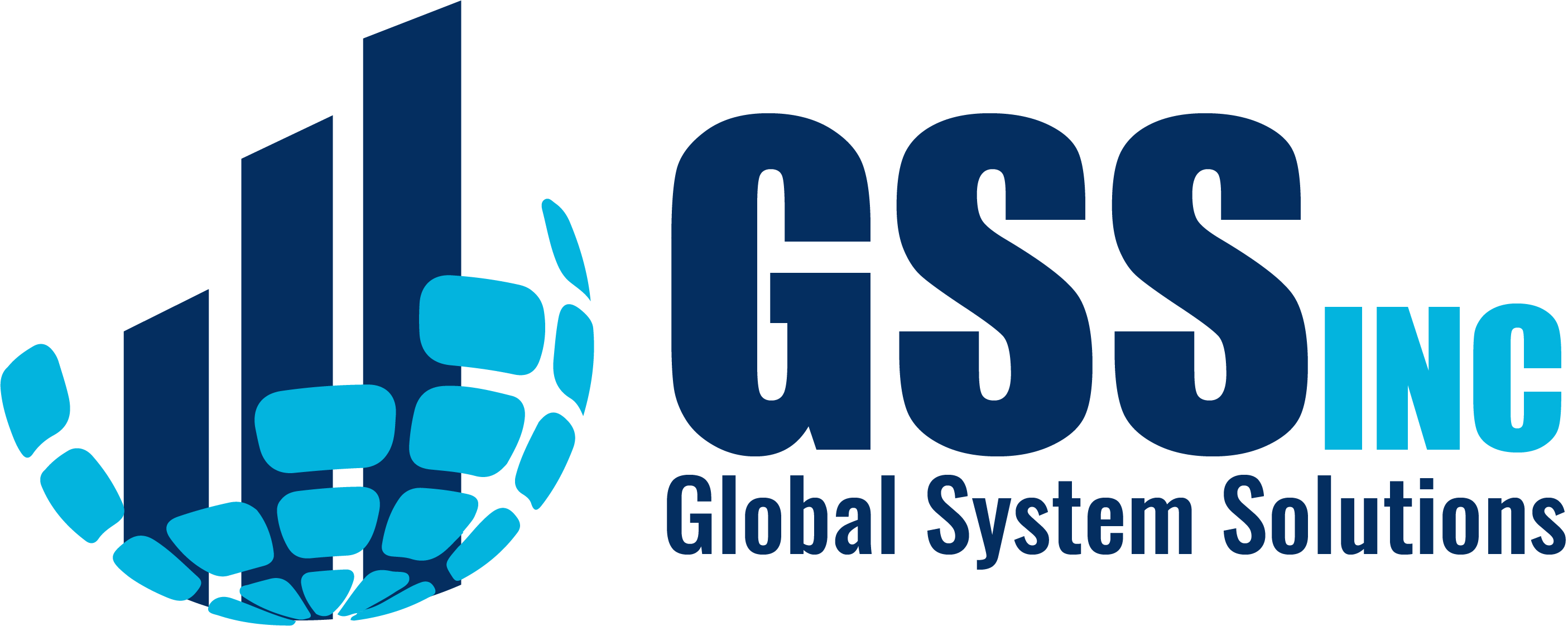 Global Systems Solutions Inc